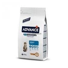 AFFINITY ADVANCE ADULT CAT CHICKEN&RICE maistas katėms su vištiena ir ryžiais