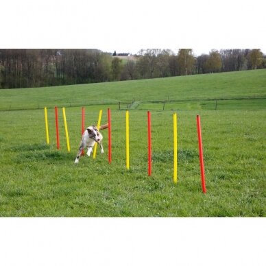 KERBL Agility complete set  for dog training 9