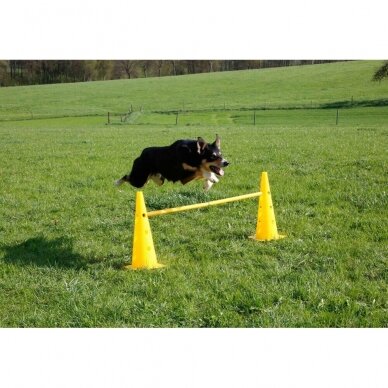 KERBL AGILITY CONE-HURDLE SET agility treniruočių rinkinys šunims 3