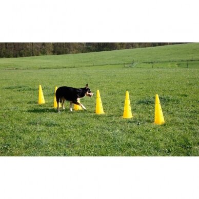 KERBL AGILITY CONE-HURDLE SET  for dog training 5