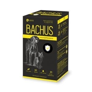 BACHUS IMMUNITY&RESISTANCE 60 tab supplement for dogs and cats