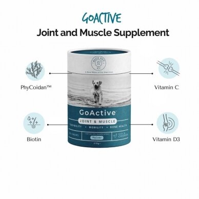 Blue Pet Co GoActive JOINT & MUSCLE supplements for dogs to support joint and muscle health 1