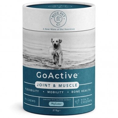 Blue Pet Co GoActive JOINT & MUSCLE papildai šunims su jūros dumbliais sąnarių ir raumenų sveikatai