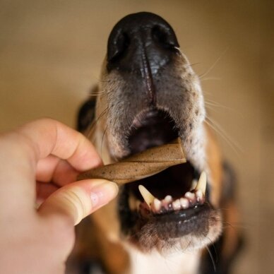 Blue Pet Co GoSmile TEETH & GUMS papildai šunims dantų priežiūrai 2