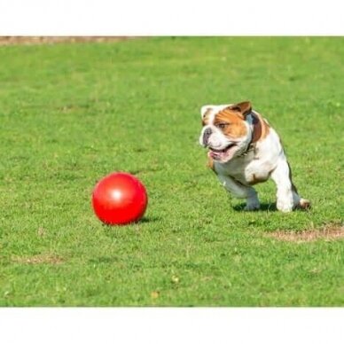 Boomer Ball dog ball kamuolys šuns aktyviam žaidimui 3