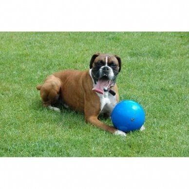 Boomer Ball dog ball kamuolys šuns aktyviam žaidimui 5