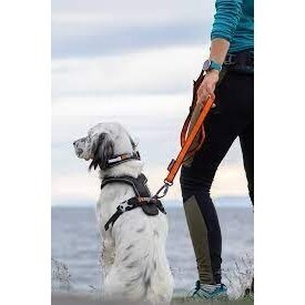 NON-STOP Bungee Leash   developed for canicross, bikejoring, and skijoring 3