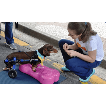 FITPAWS CanineGym® K9FITbone kaulo formos balansinė pagalvė šunims 6