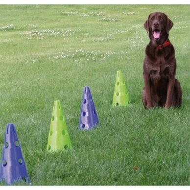 FITPAWS CanineGym® Gear Agility Kit agility rinkinys šunims 3
