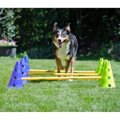 CanineGym® Dog Agility Kit  for dog training 4