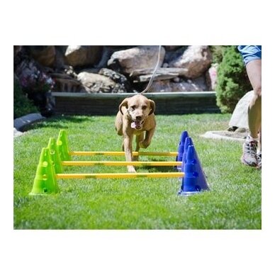 FITPAWS CanineGym® Gear Agility Kit agility rinkinys šunims 7
