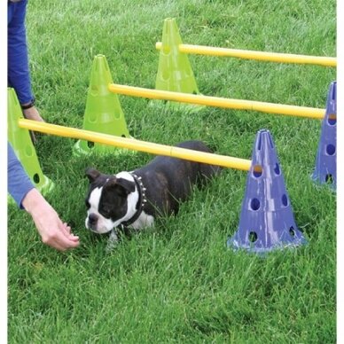 CanineGym® Dog Agility Kit  for dog training 2