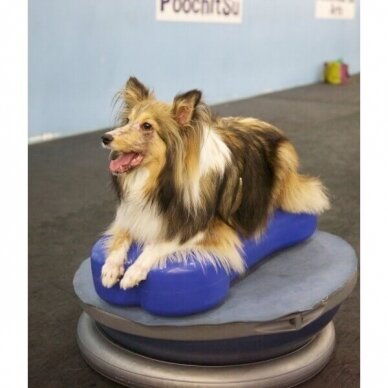 FITPAWS CanineGym® K9FITbone kaulo formos balansinė pagalvė šunims 8