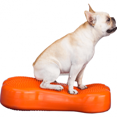 FITPAWS CanineGym® K9FITbone kaulo formos balansinė pagalvė šunims 5
