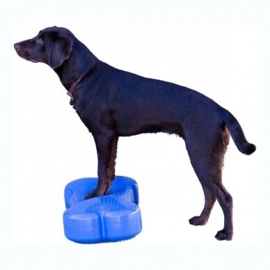 FITPAWS CanineGym® K9FITbone kaulo formos balansinė pagalvė šunims 4