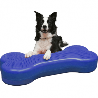 FITPAWS CanineGym® K9FITbone kaulo formos balansinė pagalvė šunims 2