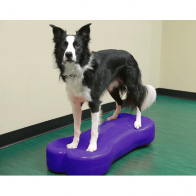 FITPAWS CanineGym® K9FITbone kaulo formos balansinė pagalvė šunims 16