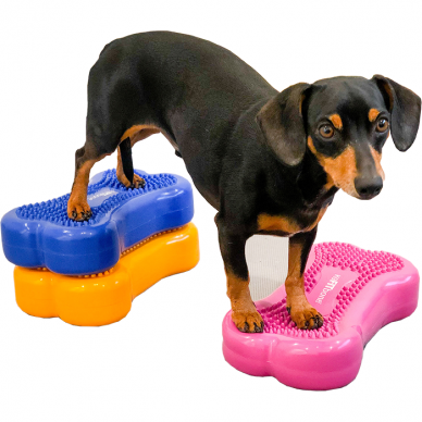 FITPAWS CanineGym® K9FITbones™ MINI kaulų formos balansinės pagalvės šunims 3