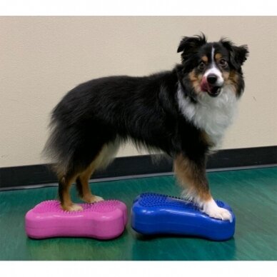 FitPAWS® Mini K9FITbones™ for dogs activities and balance training, rehabilitation and therapy 4