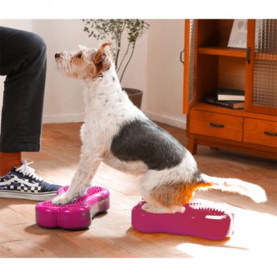 FitPAWS® Mini K9FITbones™ kaulų formos balansinės pagalvės šunims 3