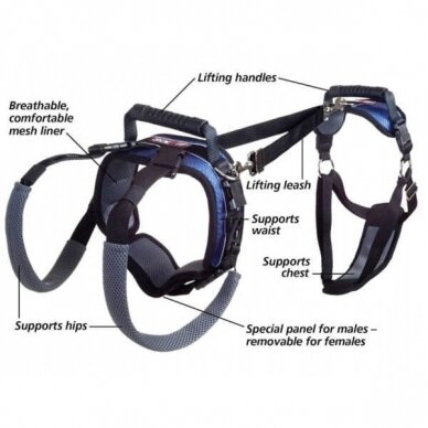 Petsafe CARELIFT Harness for senior, recovering from surgery or disabled dogs
