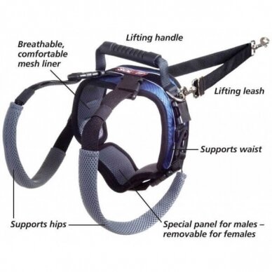 Petsafe CARELIFT Harness for senior, recovering from surgery or disabled dogs 1