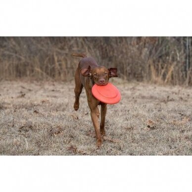 Dexas Off- Leash Flyer frisbee dog toy 6