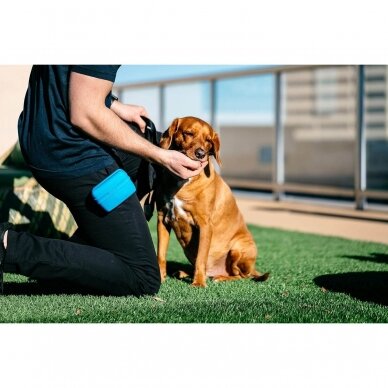 Dexas Pets Pooch Pouch Flexible Dog Treat/Training Treat Clip Pouch 6