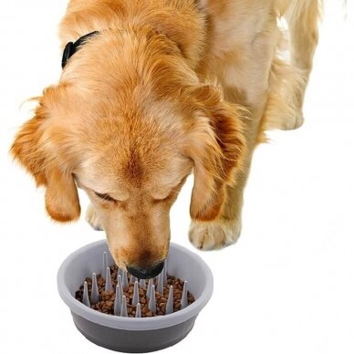 Dexas Slow Feeder Dog Bowl slower eating bowl for dogs 5