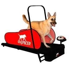 DOGPACER LF 3.1 DOG PACER TREADMILL elektrinis bėgimo takelis vidutinių ir didelių veislių šunims 1