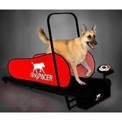 DOGPACER LF 3.1 DOG PACER TREADMILL elektrinis bėgimo takelis vidutinių ir didelių veislių šunims 3