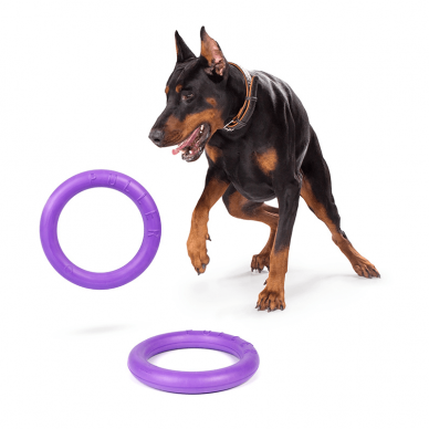 Dog Puller Standart žaislas šunų fitness'ui 2