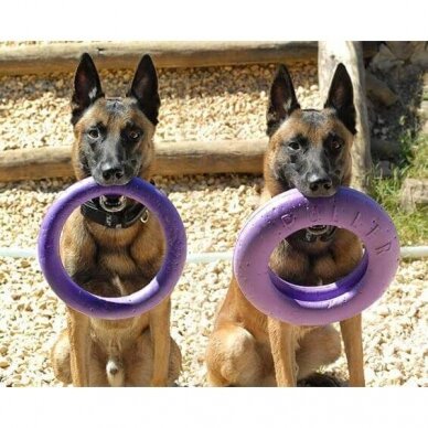 Dog Puller Standart žaislas šunų fitness'ui 6