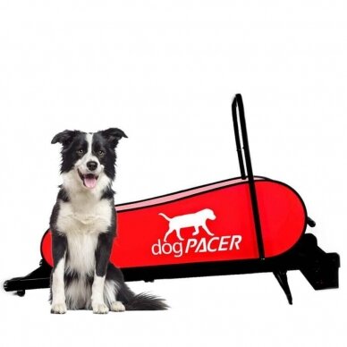 DOGPACER LF 3.1 DOG PACER TREADMILL elektrinis bėgimo takelis vidutinių ir didelių veislių šunims 2