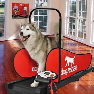 DOGPACER LF 3.1 DOG PACER TREADMILL elektrinis bėgimo takelis vidutinių ir didelių veislių šunims 4