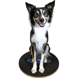 FitPAWS® Wobble Board keturašė judanti lenta šunų balansui gerinti 2