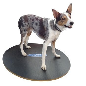 FitPAWS® Wobble Board keturašė judanti lenta šunų balansui gerinti 3