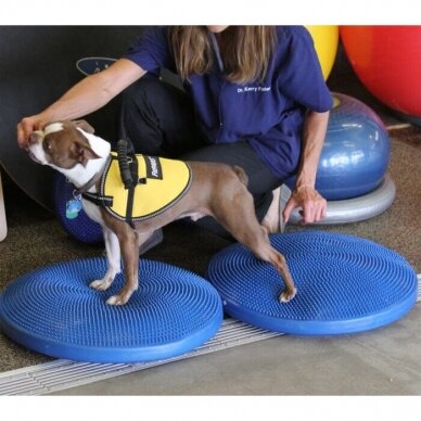 FitPAWS® Balance Discs balansinė pagalvė šunims 5