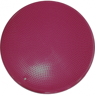 FitPAWS® Balance Disc for dogs training 4