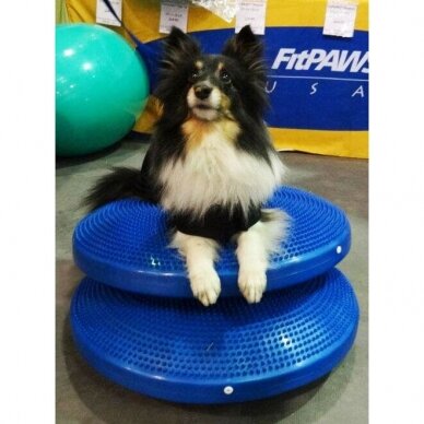 FitPAWS® Balance Discs balansinė pagalvė šunims 7