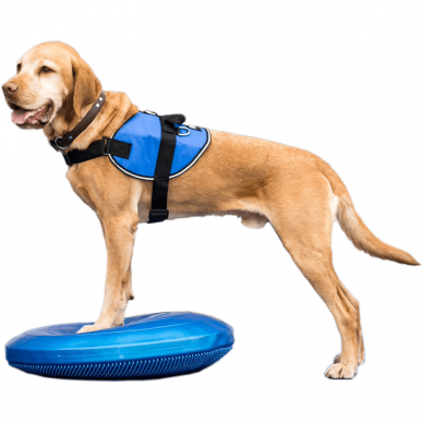 FitPAWS® Balance Discs balansinė pagalvė šunims 8