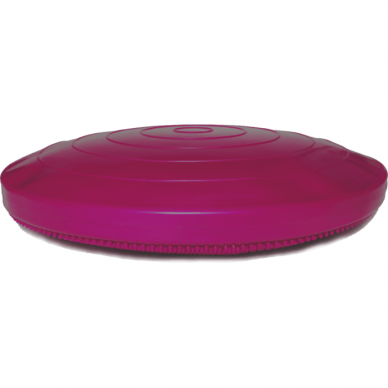 FitPAWS® Balance Disc for dogs training 1