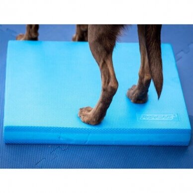 FitPAWS Balance Pad  effective training and rehabilitation tool  for dogs 4