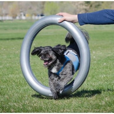 FitPAWS® Circular Product Holder  helps stabilize the FitPaws Donut 1