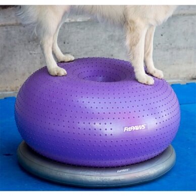 FitPAWS® Circular Product Holder  helps stabilize the FitPaws Donut 2