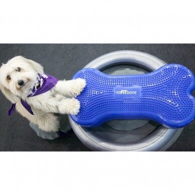FitPAWS® Circular Product Holder  helps stabilize the FitPaws Donut 5
