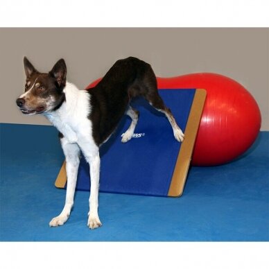 FitPAWS® Giant Rocker Board helps dogs with body awareness and balance confidence. 3