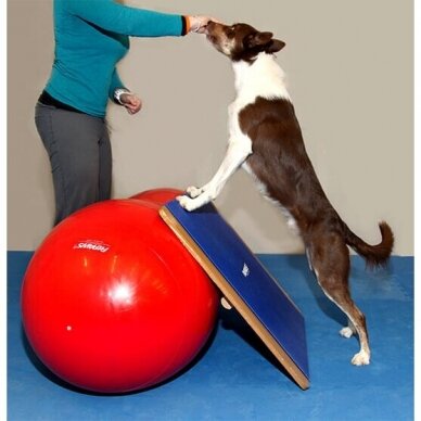 FitPAWS® Giant Rocker Board helps dogs with body awareness and balance confidence. 4