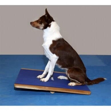 FitPAWS® Giant Rocker Board helps dogs with body awareness and balance confidence. 5