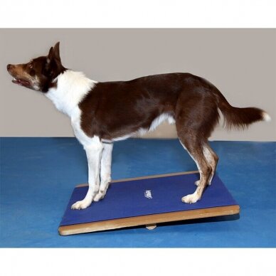 FitPAWS® Giant Rocker Board helps dogs with body awareness and balance confidence. 2